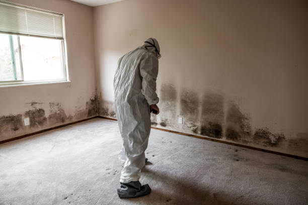 Forensic Mold Investigation in Severna Park, MD